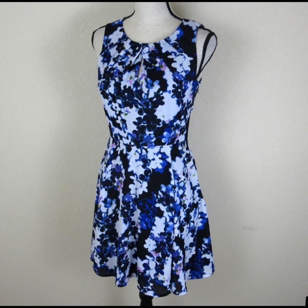 Express blue and white floral dress
